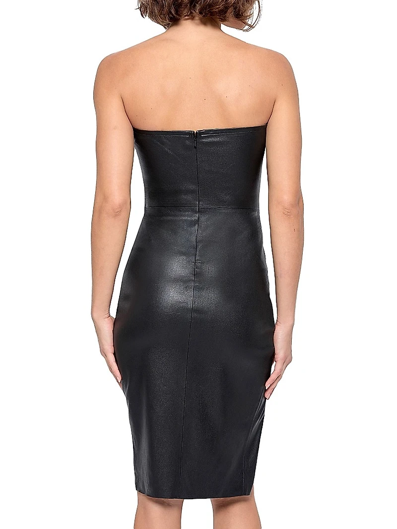 Aura Stretch Leather Dress
