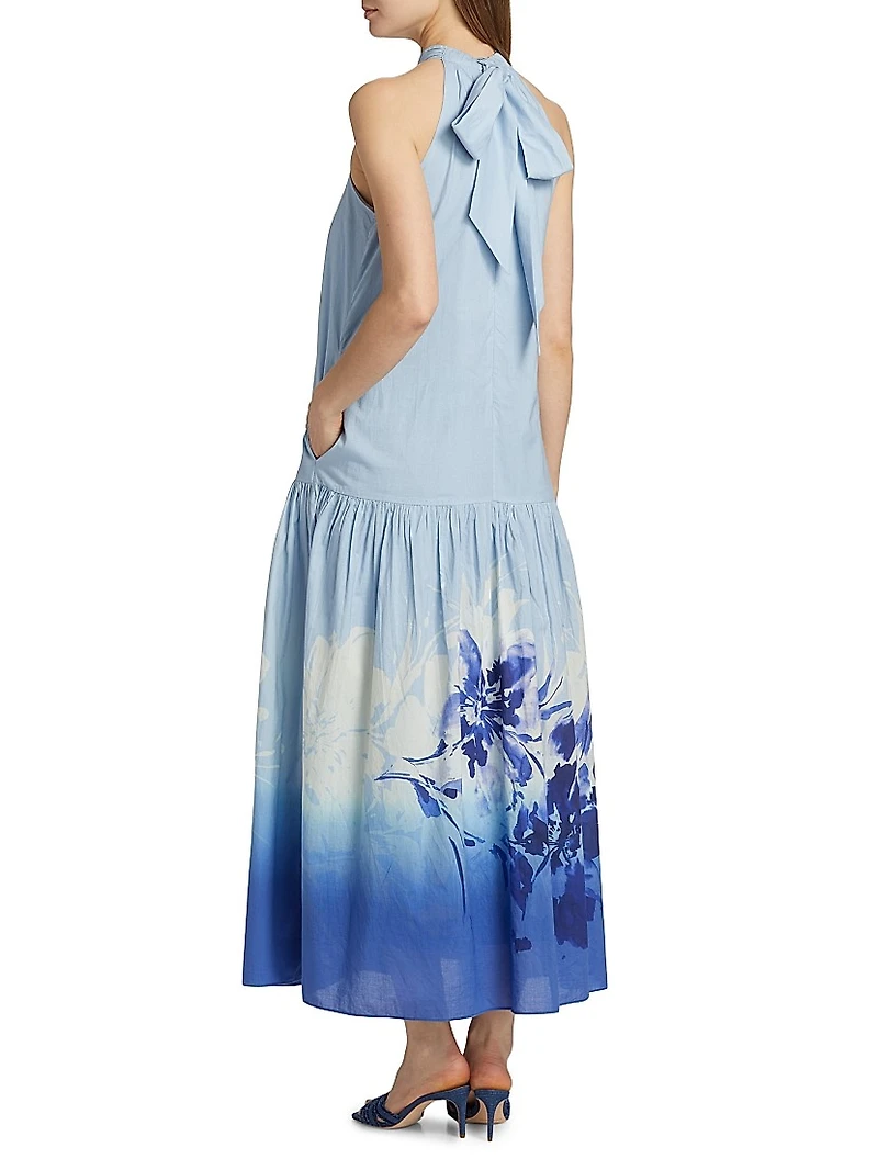 Daelia Sequined Floral Cotton Maxi Dress