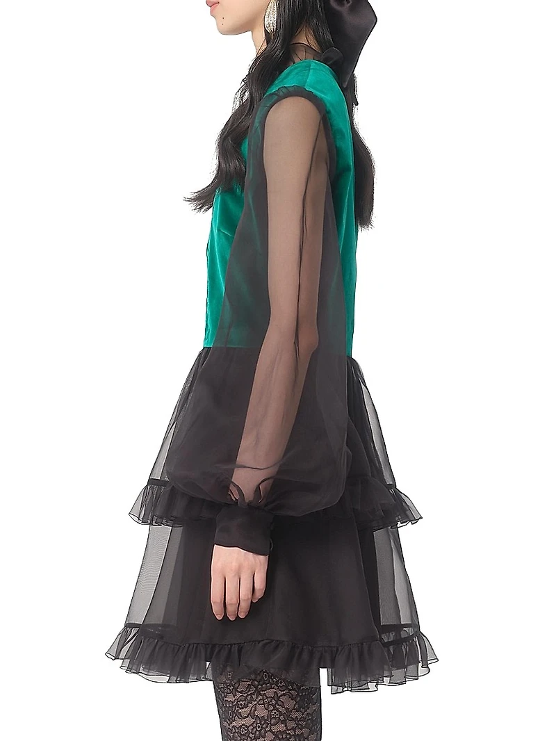 Short Embroidered Organza Dress