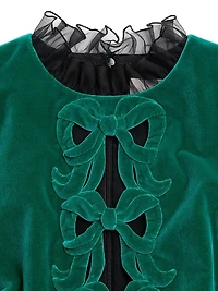 Short Embroidered Organza Dress