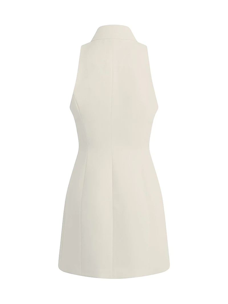 The Uptown Girl Sleeveless Minidress