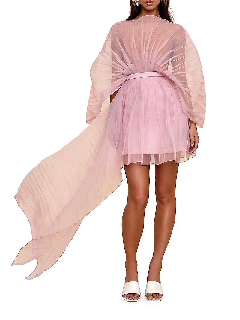 Ime Organza Miniskirt