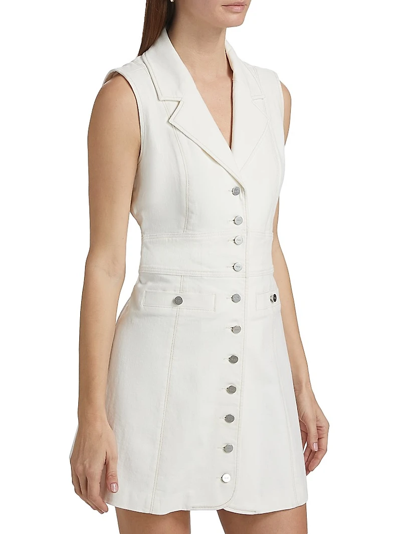 Vida Stretch-Denim Sleeveless Dress