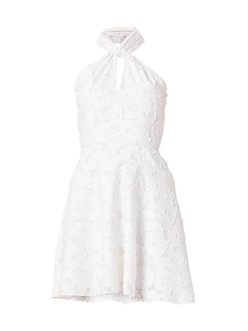 Edwina Burnout Chiffon Halterneck Minidress