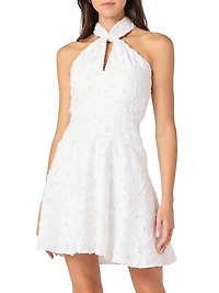 Edwina Burnout Chiffon Halterneck Minidress