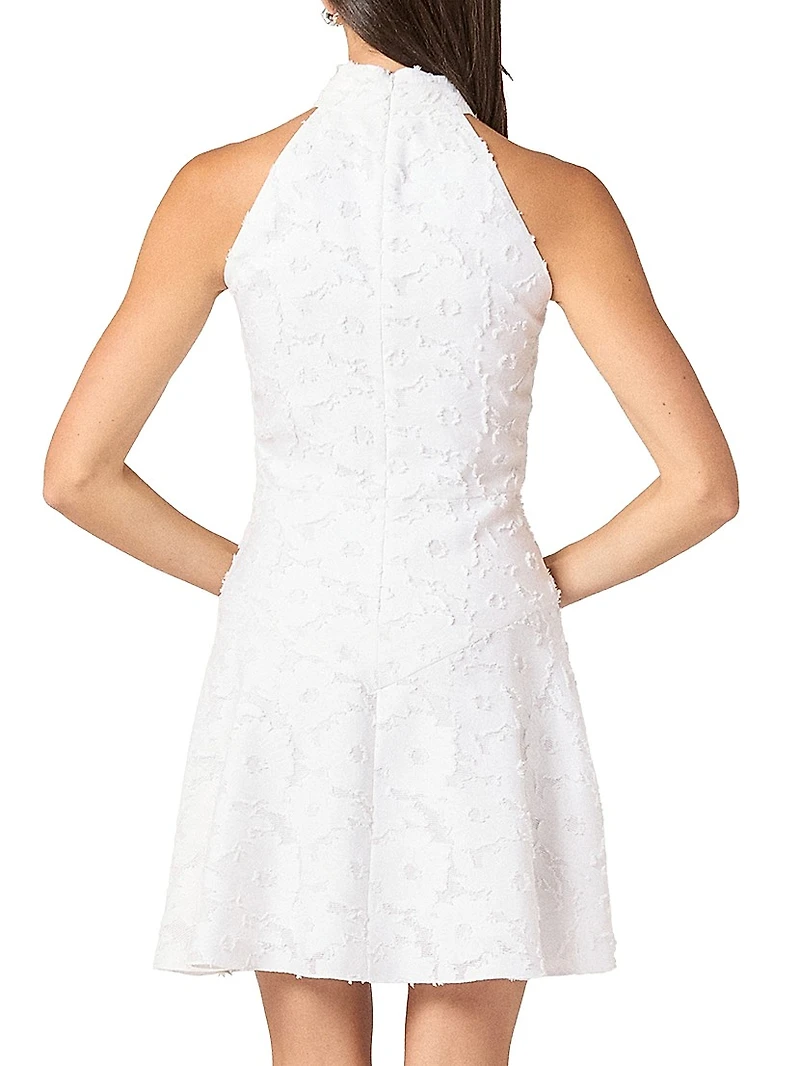 Edwina Burnout Chiffon Halterneck Minidress