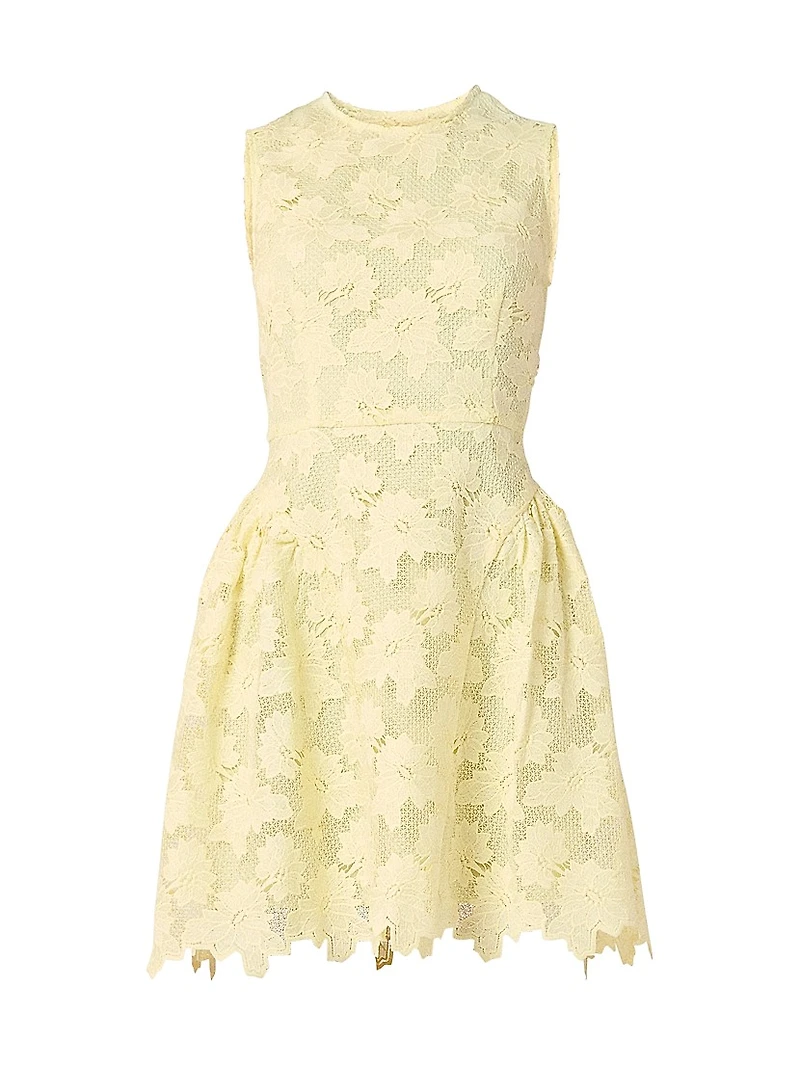 Fleur Lace Sleeveless Minidress