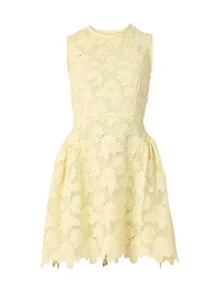 Fleur Lace Sleeveless Minidress