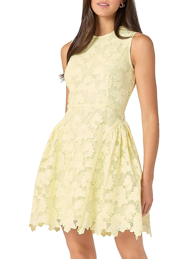 Fleur Lace Sleeveless Minidress
