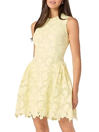 Fleur Lace Sleeveless Minidress