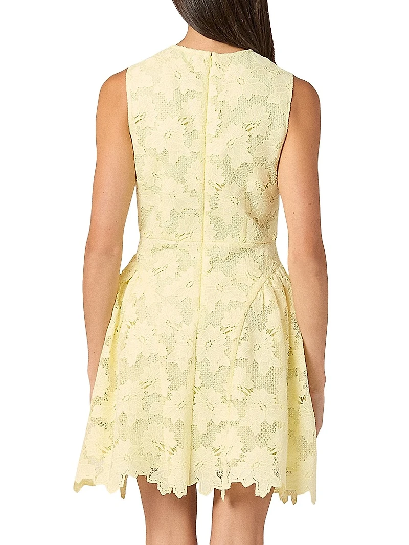 Fleur Lace Sleeveless Minidress