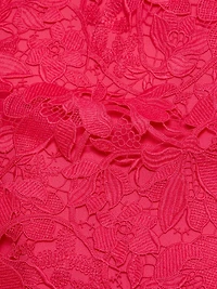 Emy Guipure Lace Organza-Strap Minidress