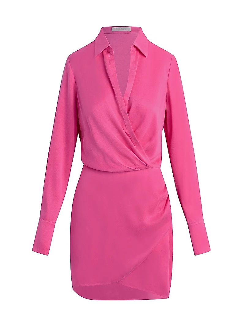 The Dinner Party Mini Shirtdress