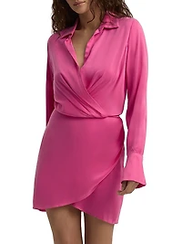 The Dinner Party Mini Shirtdress