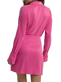 The Dinner Party Mini Shirtdress