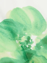 Taylor Floral Cotton Skort Romper