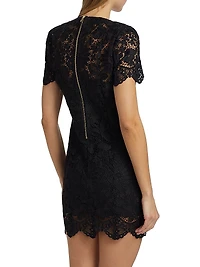 Anne Lace Sheath Dress