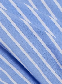 Val Cerulean Stripe Corset Top