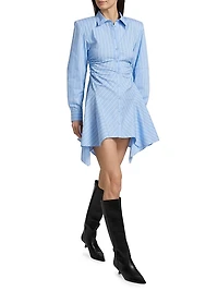 Deena Pinstriped Mini Shirtdress