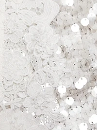 Esme Sequined Lace V-Neck Minidress