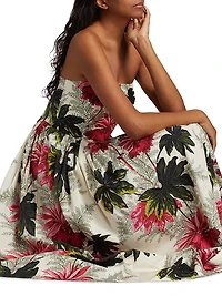 Torres Printed Cotton Poplin Midi-Dress