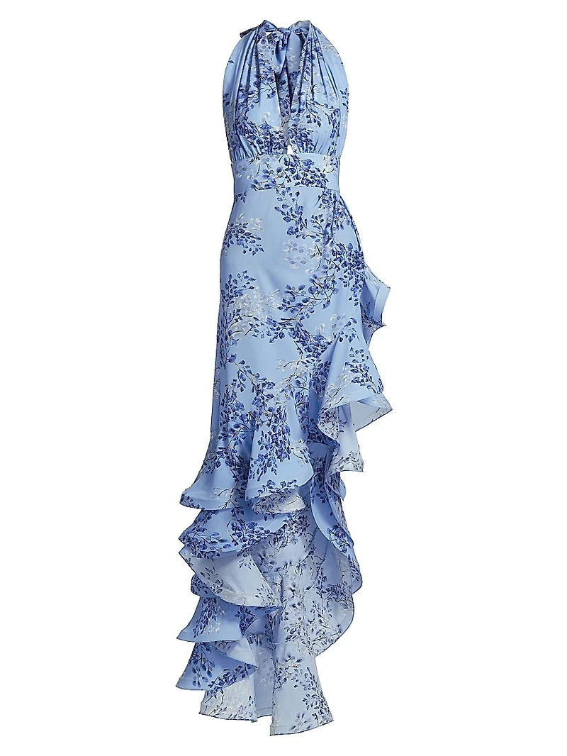 Bronte Poppy Maxi Dress