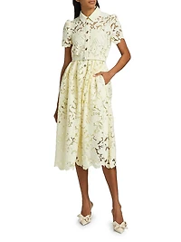 Guipure Lace Collared Midi-Dress