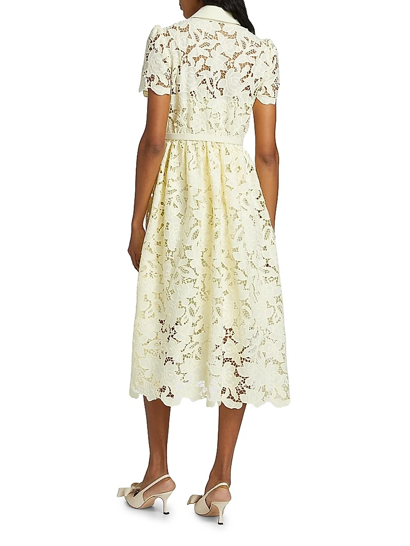 Guipure Lace Collared Midi-Dress