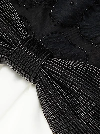 Tulle Fit & Flare Minidress