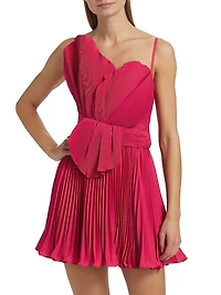 Newtie Plissé Petal Minidress