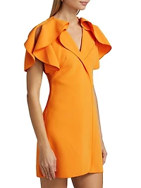 Normanhill Puff-Sleeve Minidress