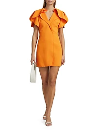 Normanhill Puff-Sleeve Minidress