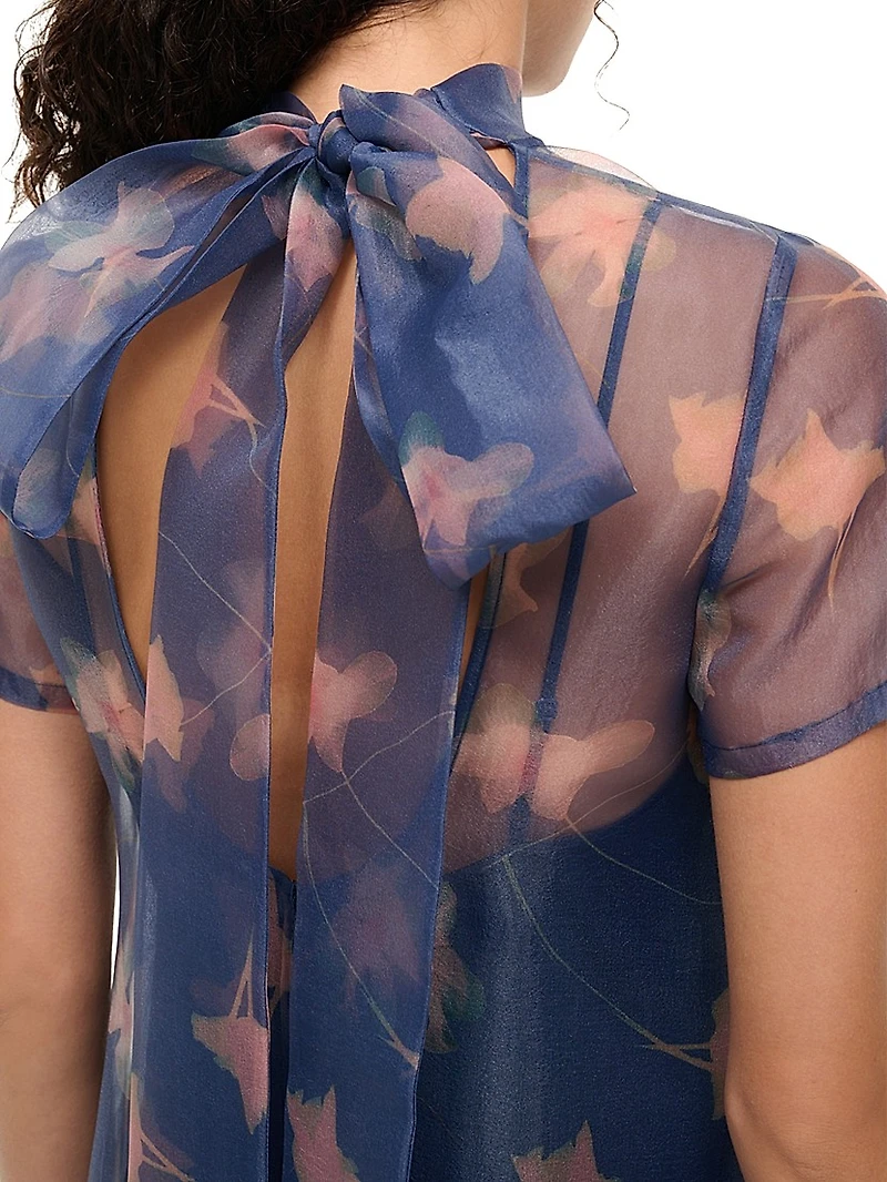 Calluna Ruffled Sheer Floral Organza Gown