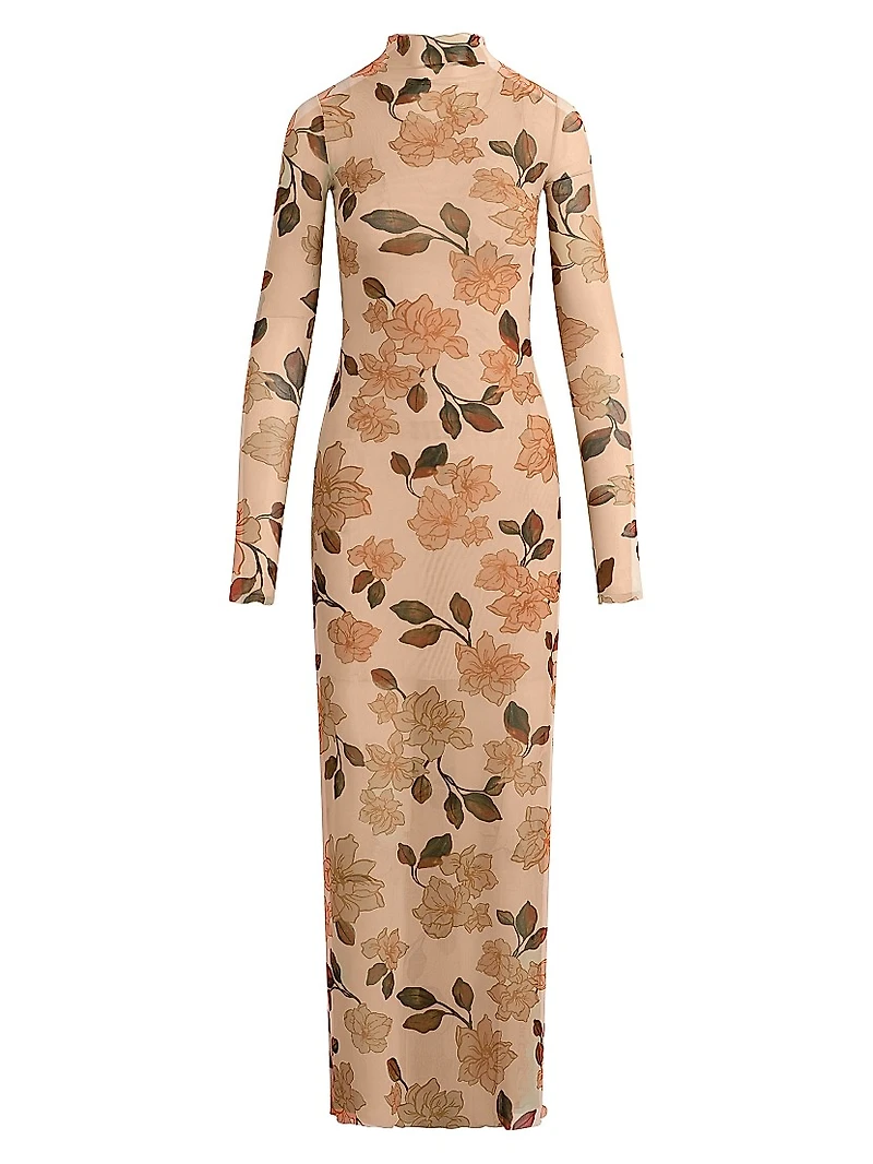 The Sheer Fantasy Maxi Dress