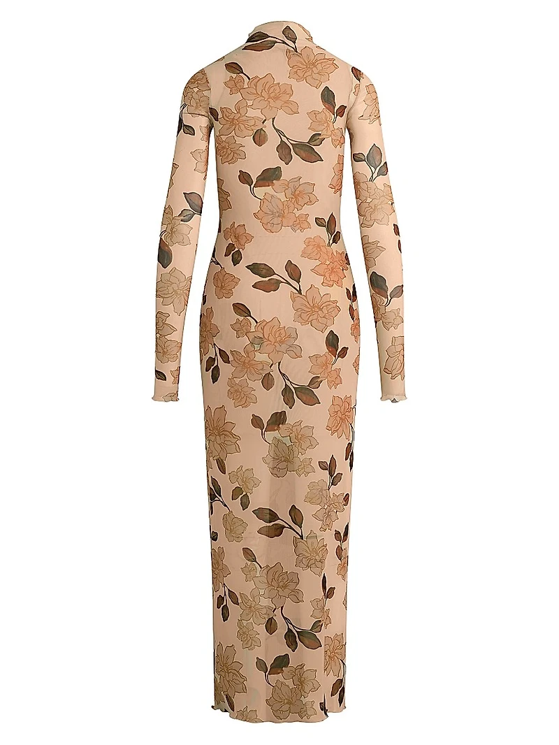 The Sheer Fantasy Maxi Dress