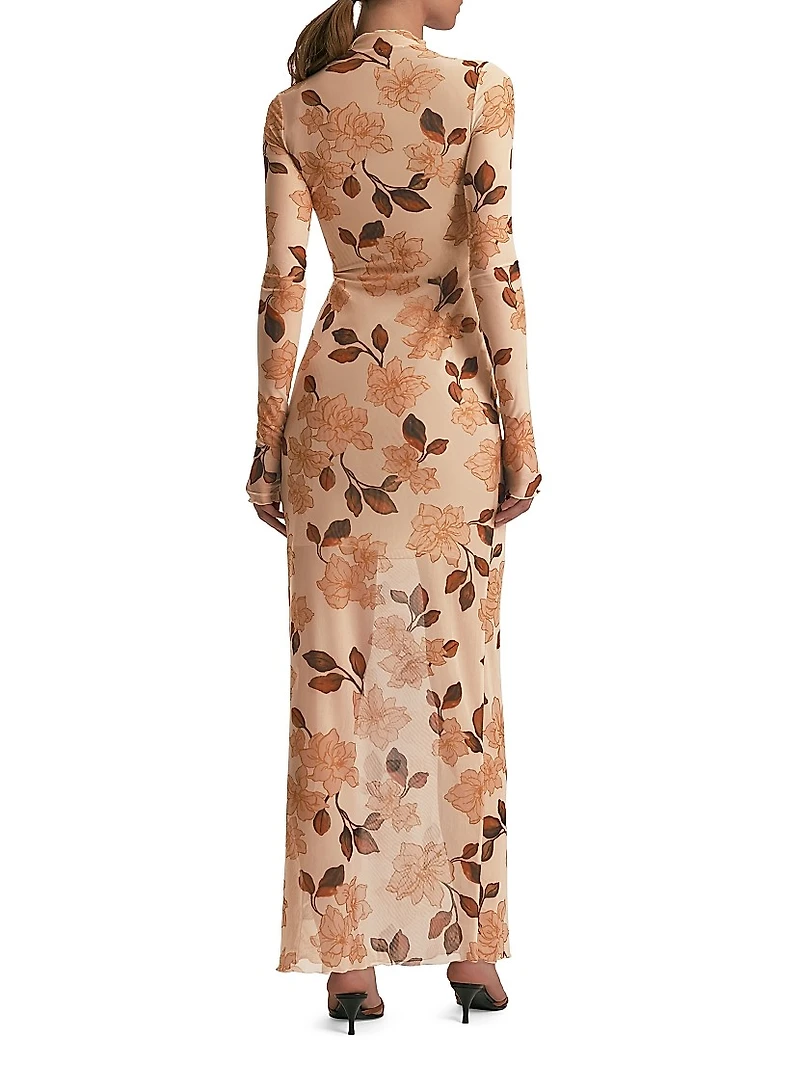 The Sheer Fantasy Maxi Dress