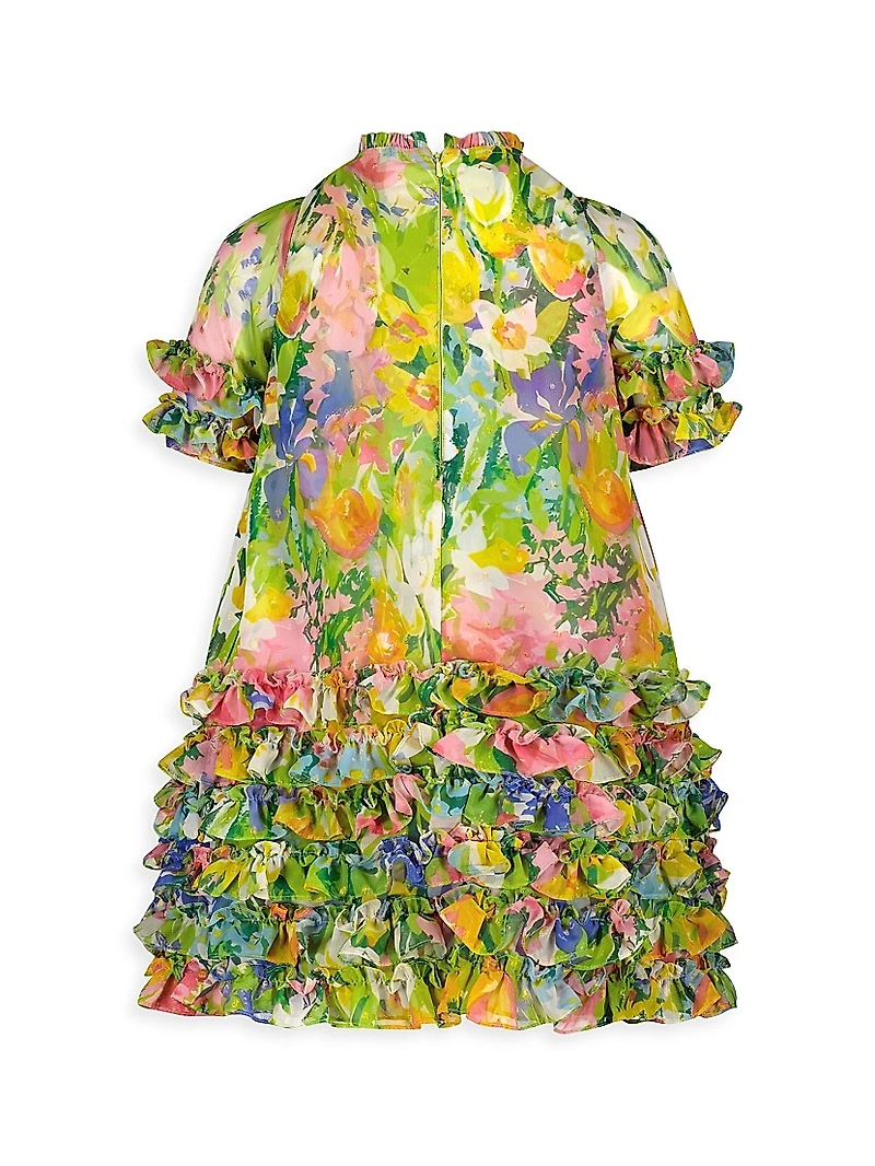 Little Girl's & Girl's Floral Print Chiffon Dress