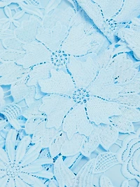 Lisette 3D Guipure Lace Minidress