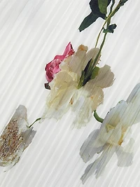 Wilted Peony Pleated V-Neck Midi-Dress