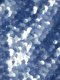 Leilani Sequined Midi-Skirt