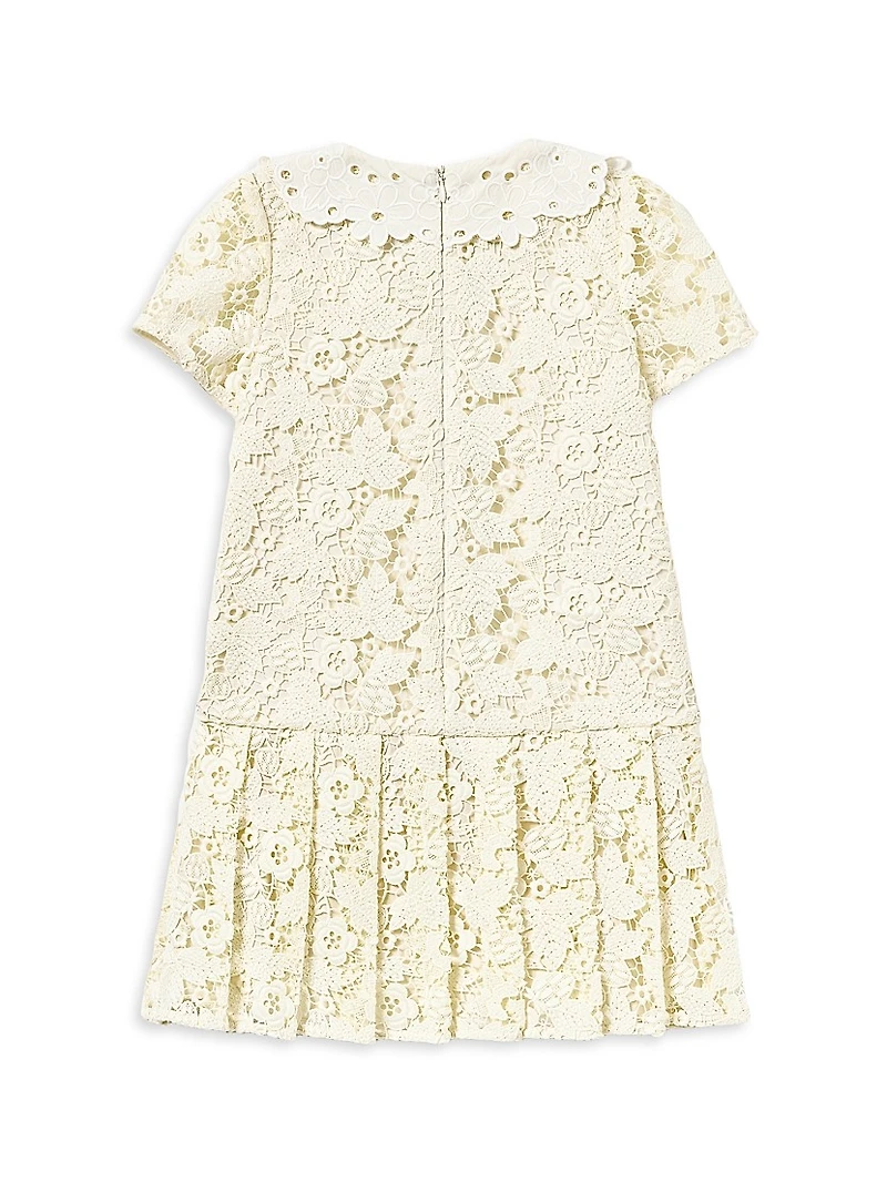 Little Girl's & Butterfly Lace Dress