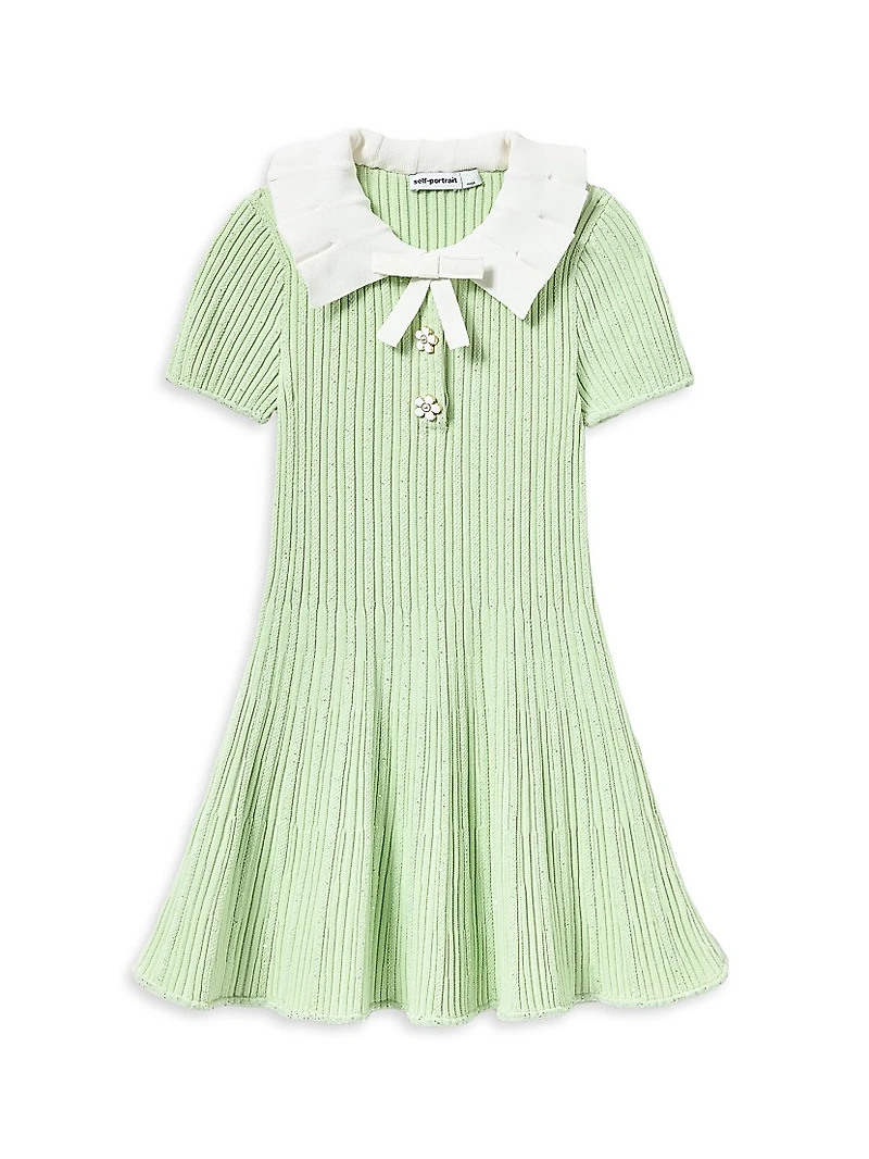 Little Girl's & Ribbed Knit Flared Dress