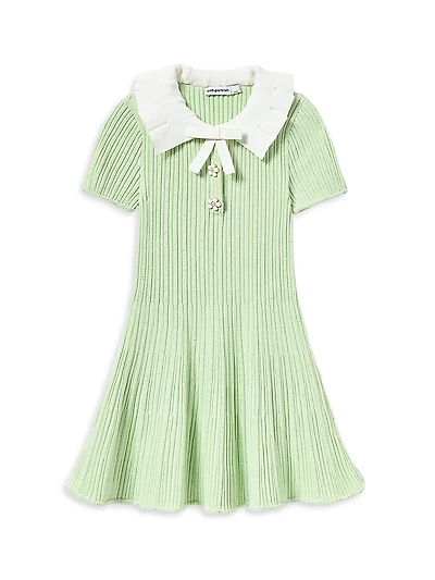 Little Girl's & Ribbed Knit Flared Dress