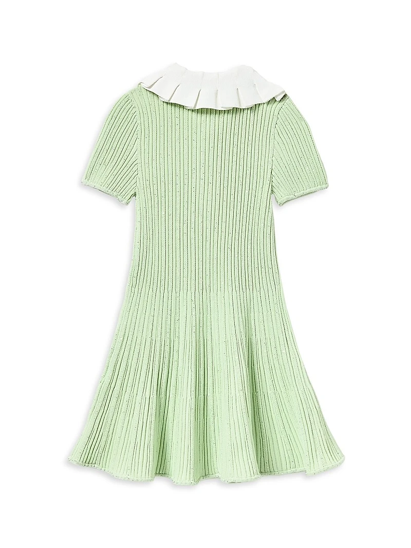 Little Girl's & Ribbed Knit Flared Dress