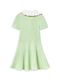 Little Girl's & Ribbed Knit Flared Dress