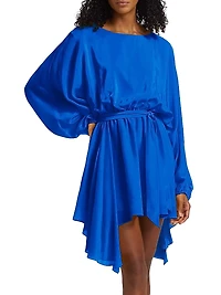 Naila Silk Tie-Waist Long-Sleeve Minidress