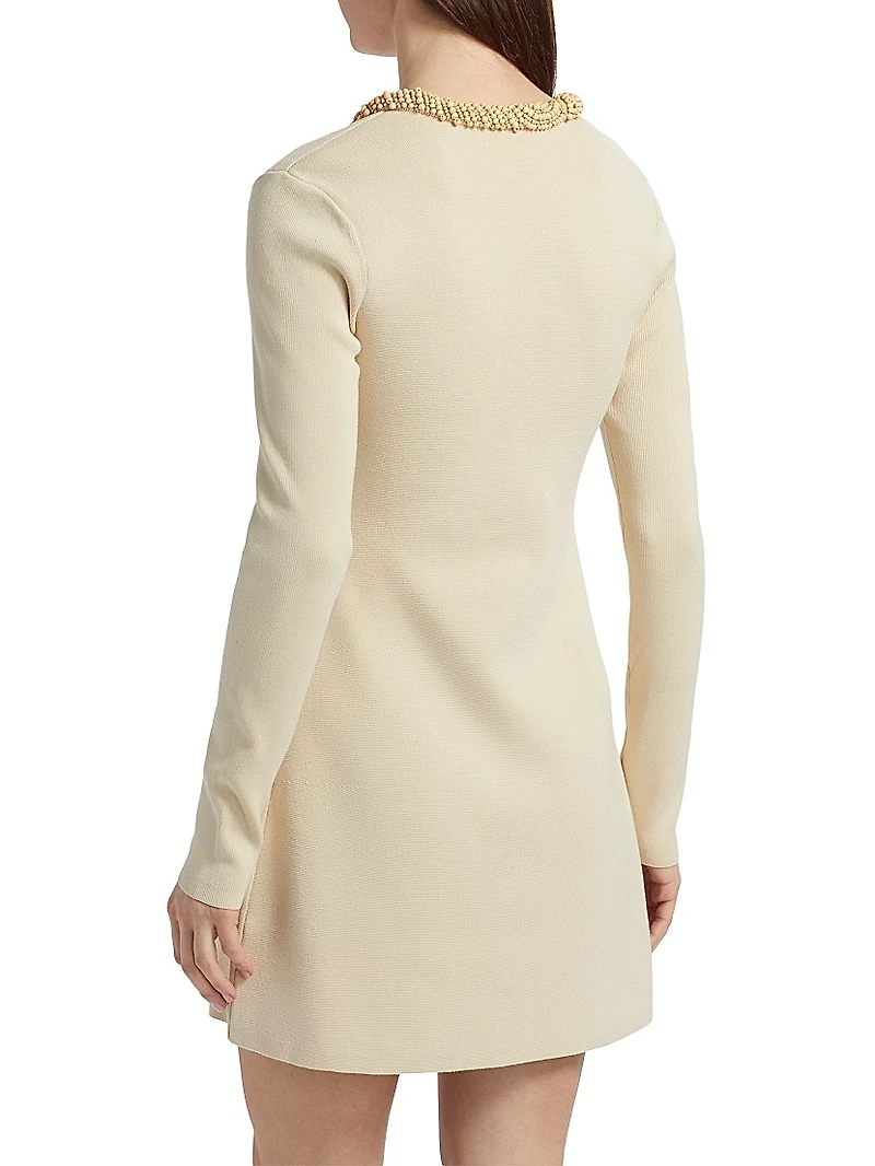 Zev Beaded Knit Minidress