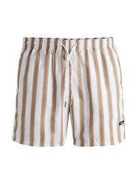 Fully Lined Swim Shorts with Seasonal Print