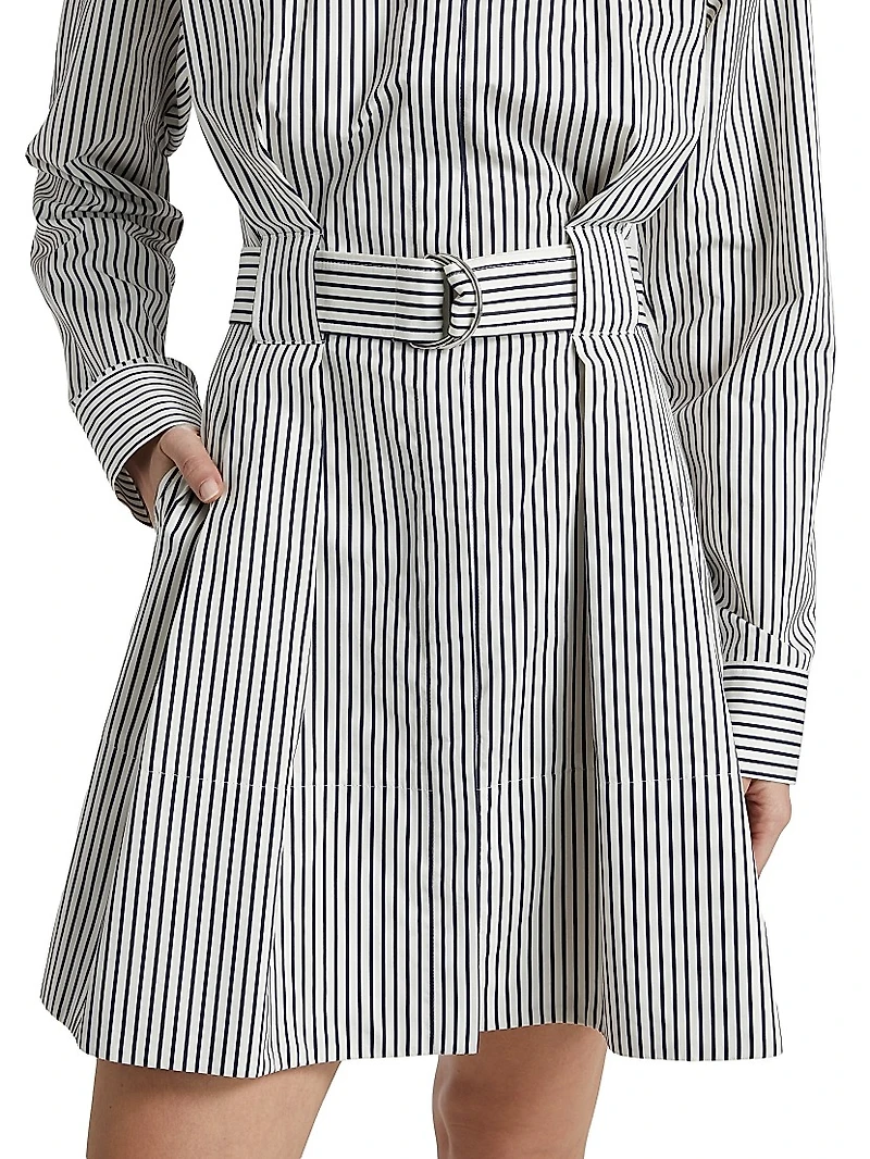 Viola Stripe Poplin Mini Shirtdress
