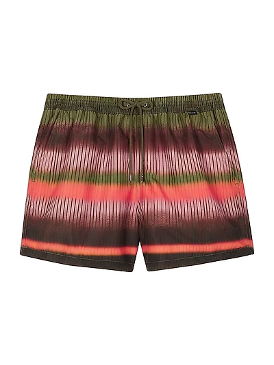 Ombré Striped Swim Shorts